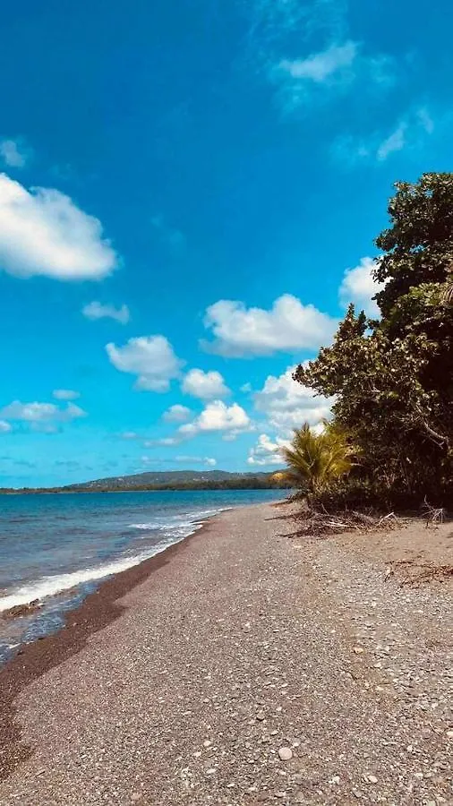 Vakantiehuis Blissful Tides Villa Hope Bay